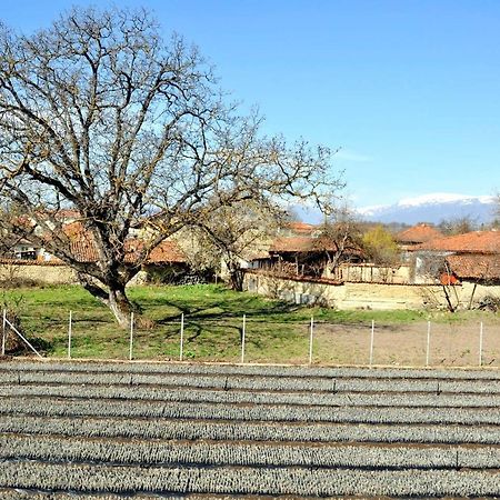 Вила В С. Габарево, Долината На Розите. Gabarevo Zewnętrze zdjęcie