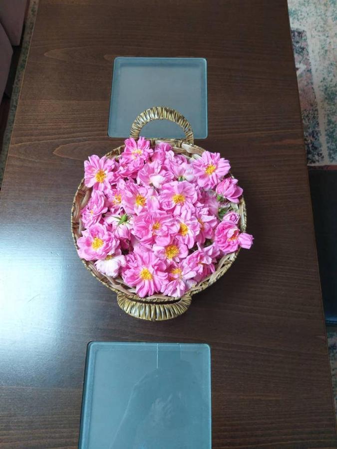 Вила В С. Габарево, Долината На Розите. Gabarevo Zewnętrze zdjęcie